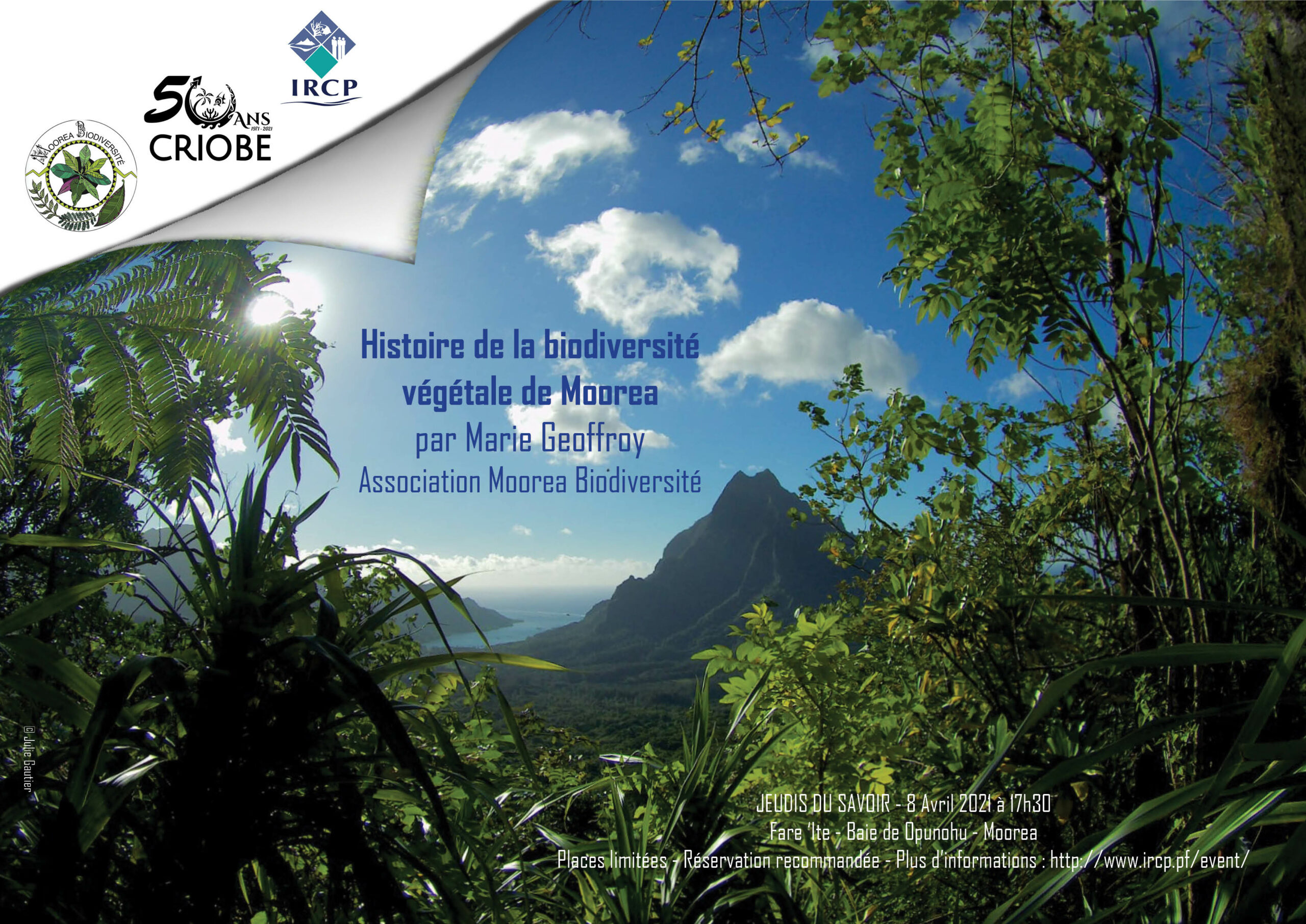 Les Jeudis du Savoir | Histoire de la biodiversité végétale de Moorea | Criobe