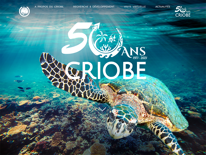 Vidéo des 50 ans du CRIOBE | Criobe