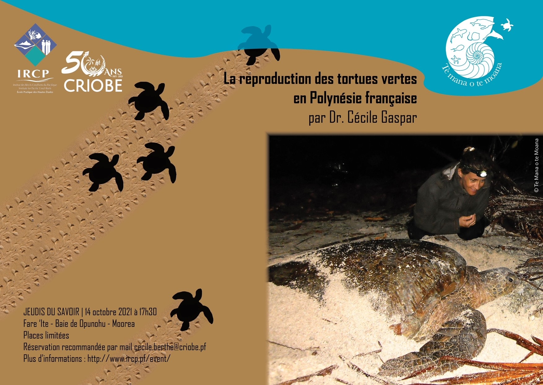 Les Jeudis du savoir | La reproduction des tortues vertes en Polynésie française | Criobe